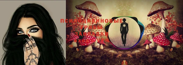 Альфа ПВП Кодинск